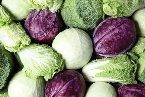 Cabbages