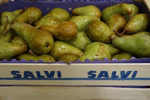 Italian pears sold by Salvi