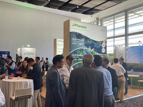 3_Networking at 2025 IBO Summit in South Africa