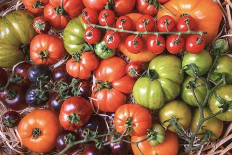 Mixed Tomato varieties in basket Adobe Stock