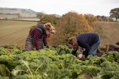 Harvesting organic