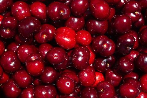 Spanish Picota cherries