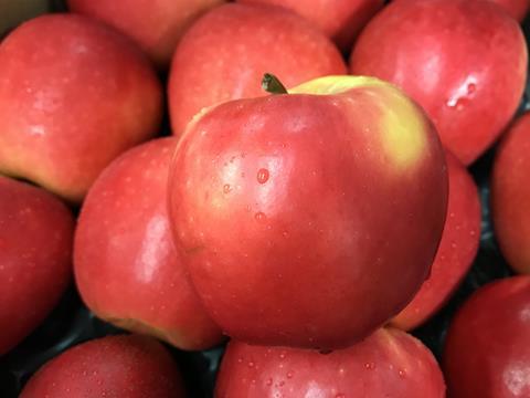 GEN apples London market