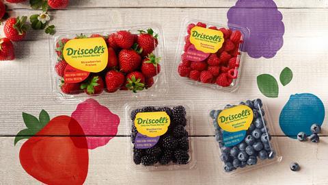 Driscolls berries