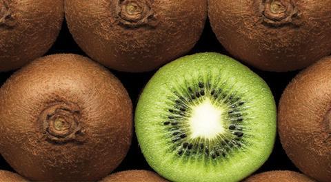 Kiwifruit of Italy