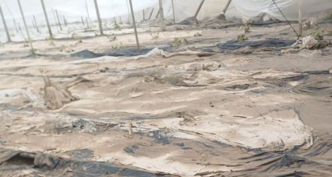 Almeria storms Coag Almería