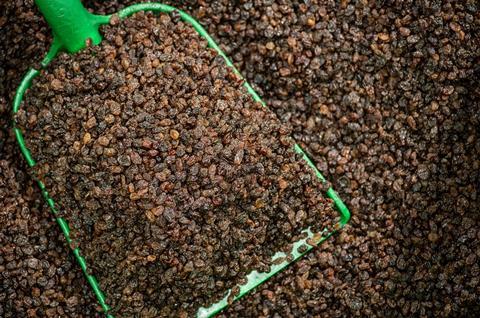 South African raisins scoop