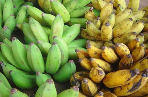 Bananas credit David Monniaux