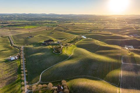 Limoneira Windfall Farms Paso Robles