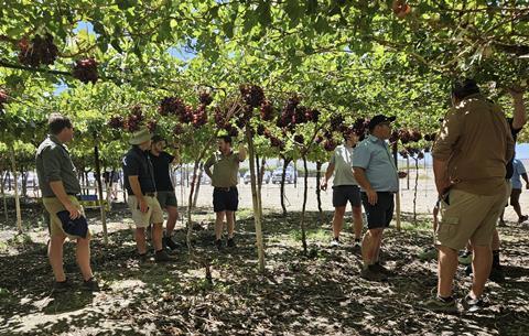 Grapa field days Namibia Arra red varieties 2024