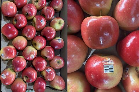 Sunrise Magic apples Fruit Australia