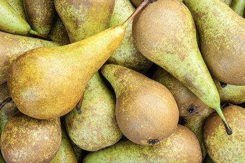 Pears closeup