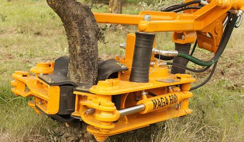 Chile nuts mechanisation maga-blog