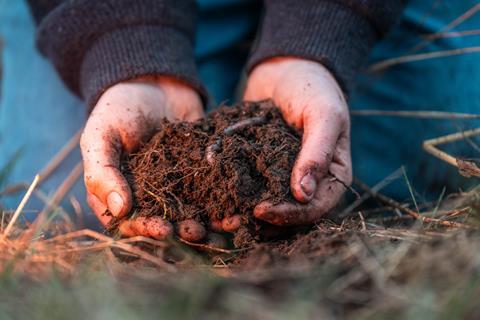 Organic farm soil sample