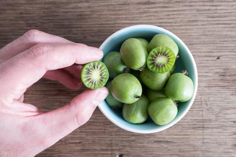Hand greift in Schale mit Kiwibeeren