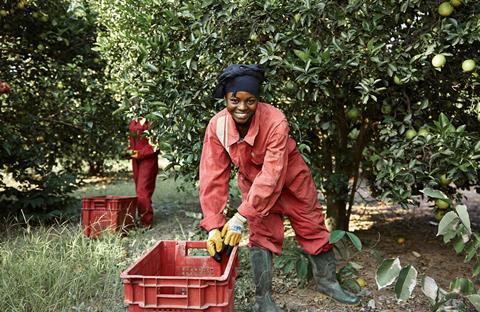 Kwafre Farms in Ghana