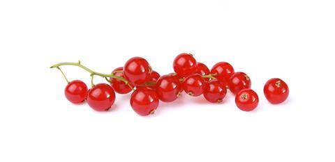 hcast_AdobeStock_128199303
