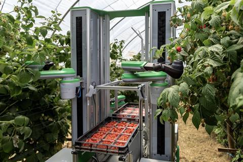 Fieldwork Robotics raspberry harvesting
