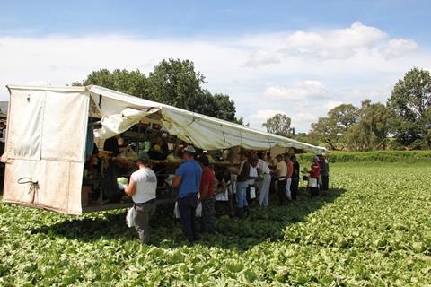 PDM iceberg harvesting