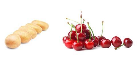 kartoffeln kirschen qs wissnschaftsfonds