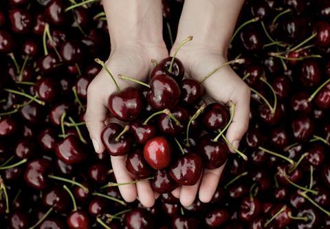Jerte cherries