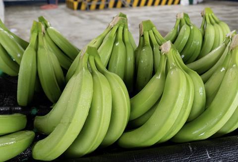 Ecuador bananas Adobe Stock