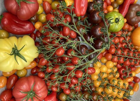 BE Hoogstraten tomatoes