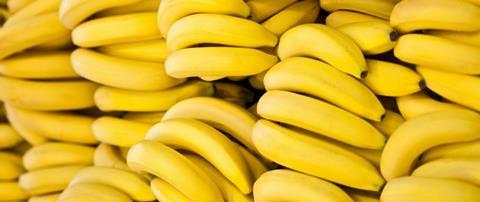 United Fresh Services bananas