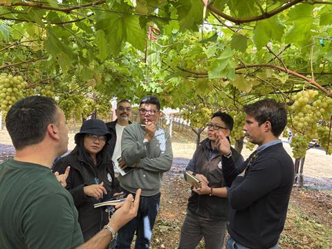 Italian grapes to Thailand