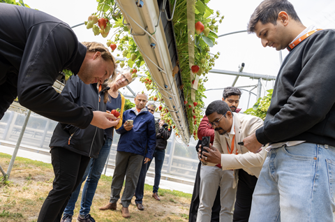 Greenhouse visit