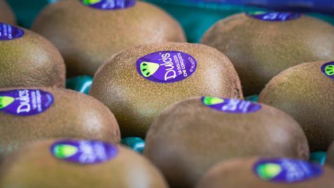Dulcis kiwifruit