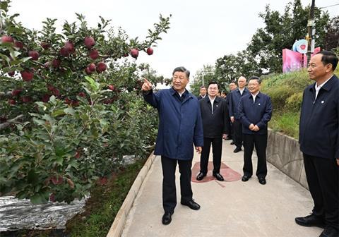 Jinping shoes shop