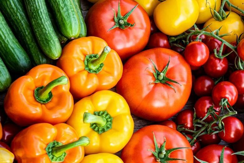 Harvest House targets climateneutral veg production by 2040 News