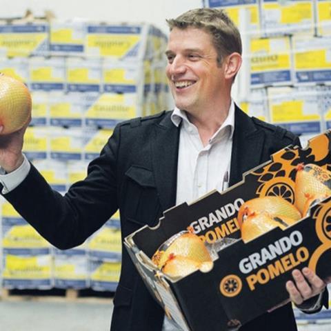 Siebe van Wijk, The Fruit Republic
