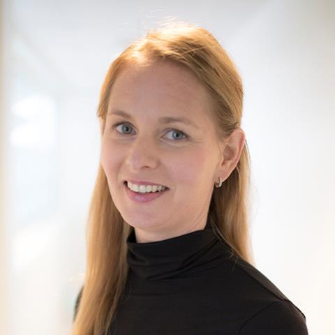 Maria Wieloch, ICA Gruppen