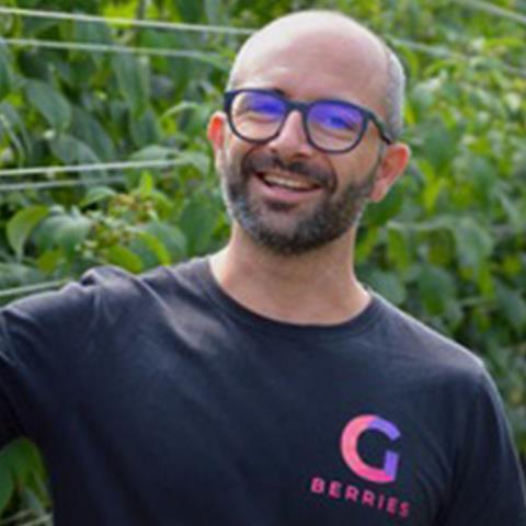 Alessandro-Gualandi,-G-berries