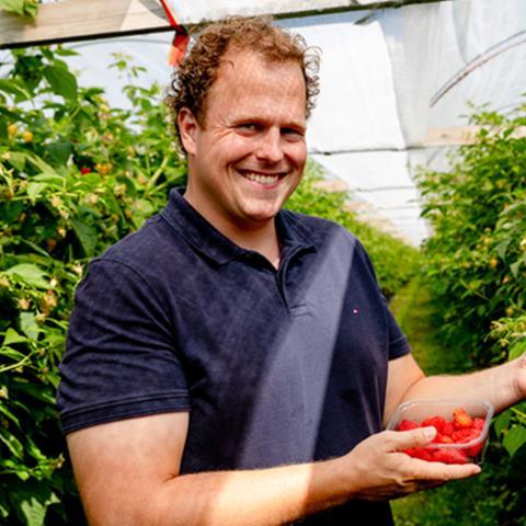 Hans-Puijk_BrightBerries