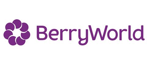BerryWorld logo web